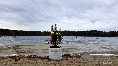 Weihnachten Wukensee